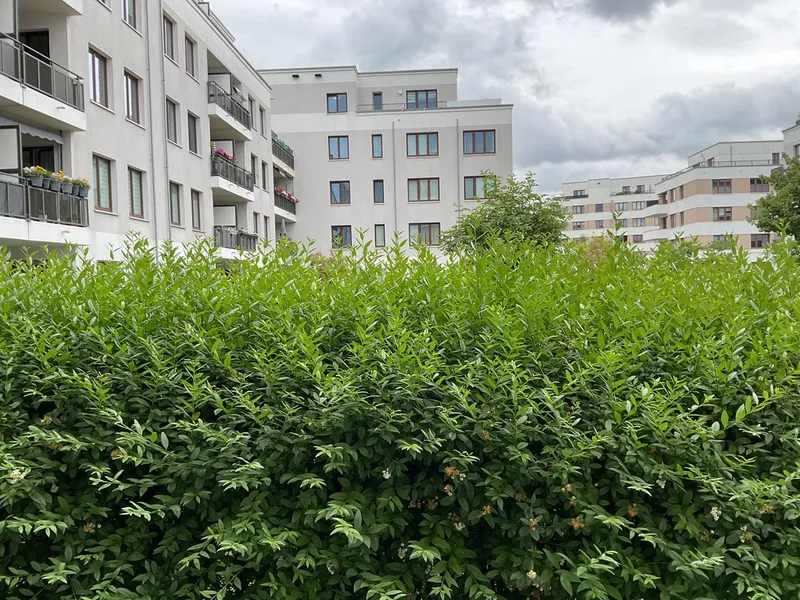 2-Zimmer-Wohnung in Spandau — photo 1